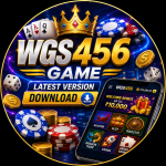 WGS456 Game