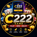 C222 Game